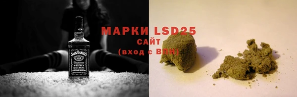 apvp Кукмор