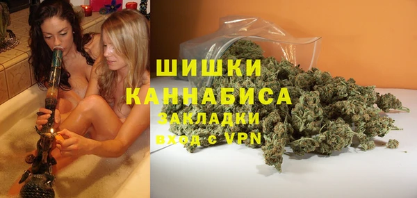 apvp Кукмор
