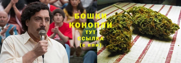 apvp Кукмор