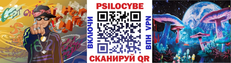 Галлюциногенные грибы Psilocybe  Хвалынск 